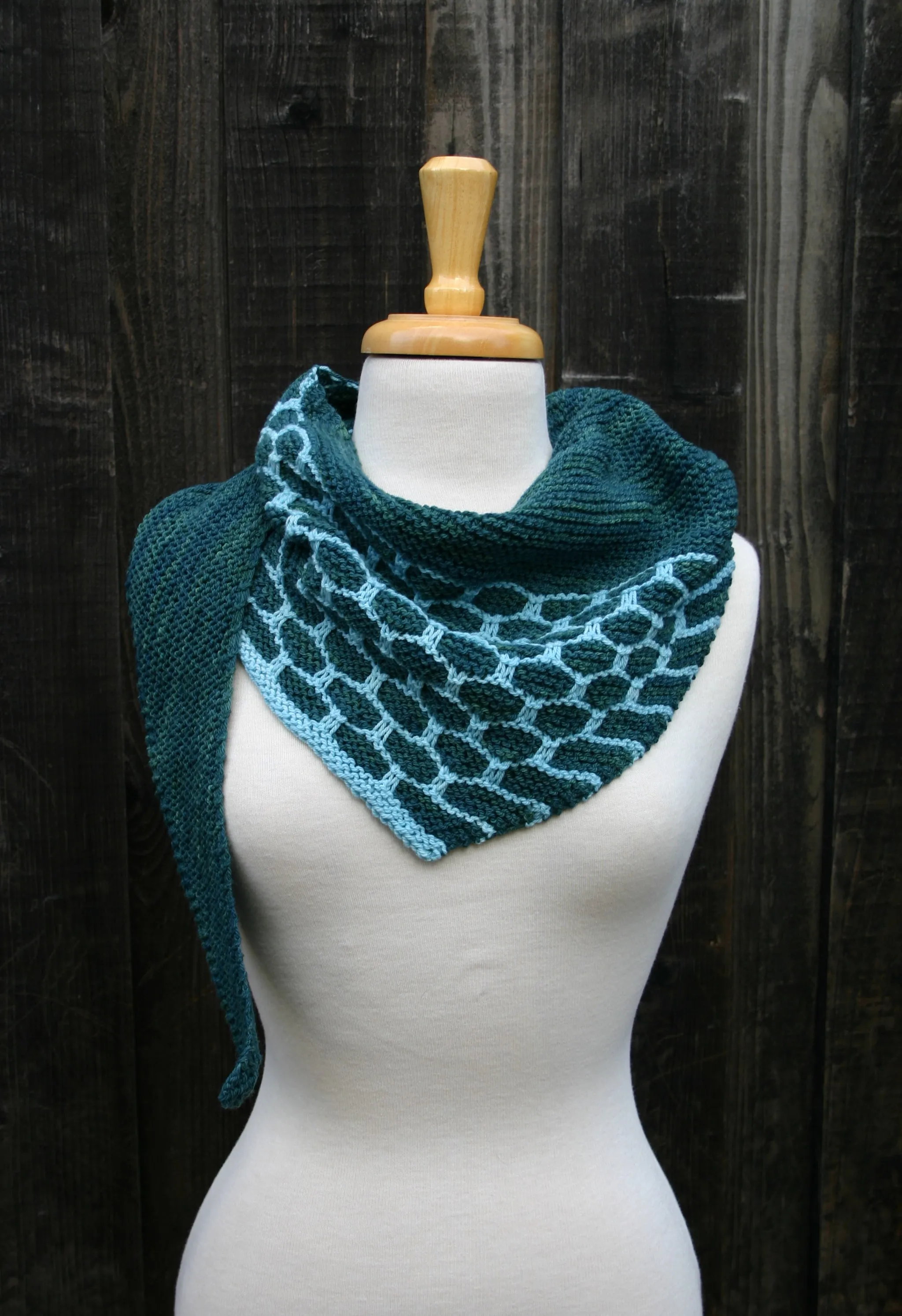 Cellular Shawlette Kit