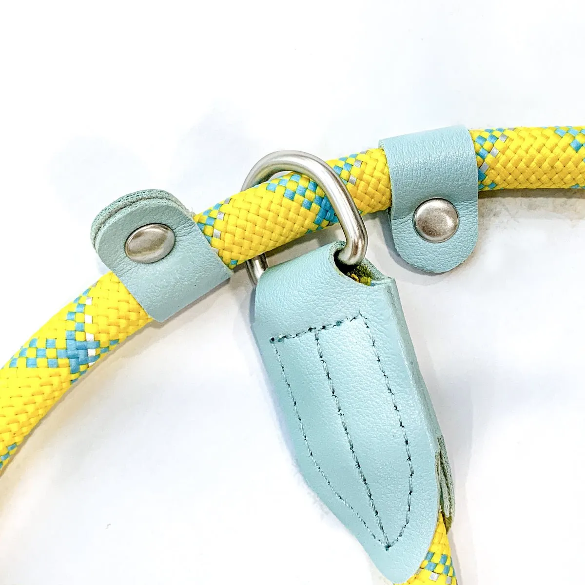 Classic Dog Slip Lead Yellow P-leash