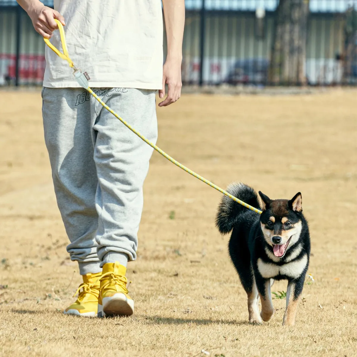 Classic Dog Slip Lead Yellow P-leash