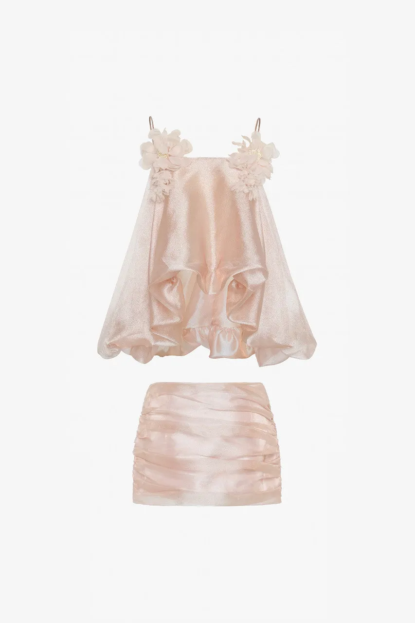 Floral Embellished Ruffle Top Mini Skirt Set