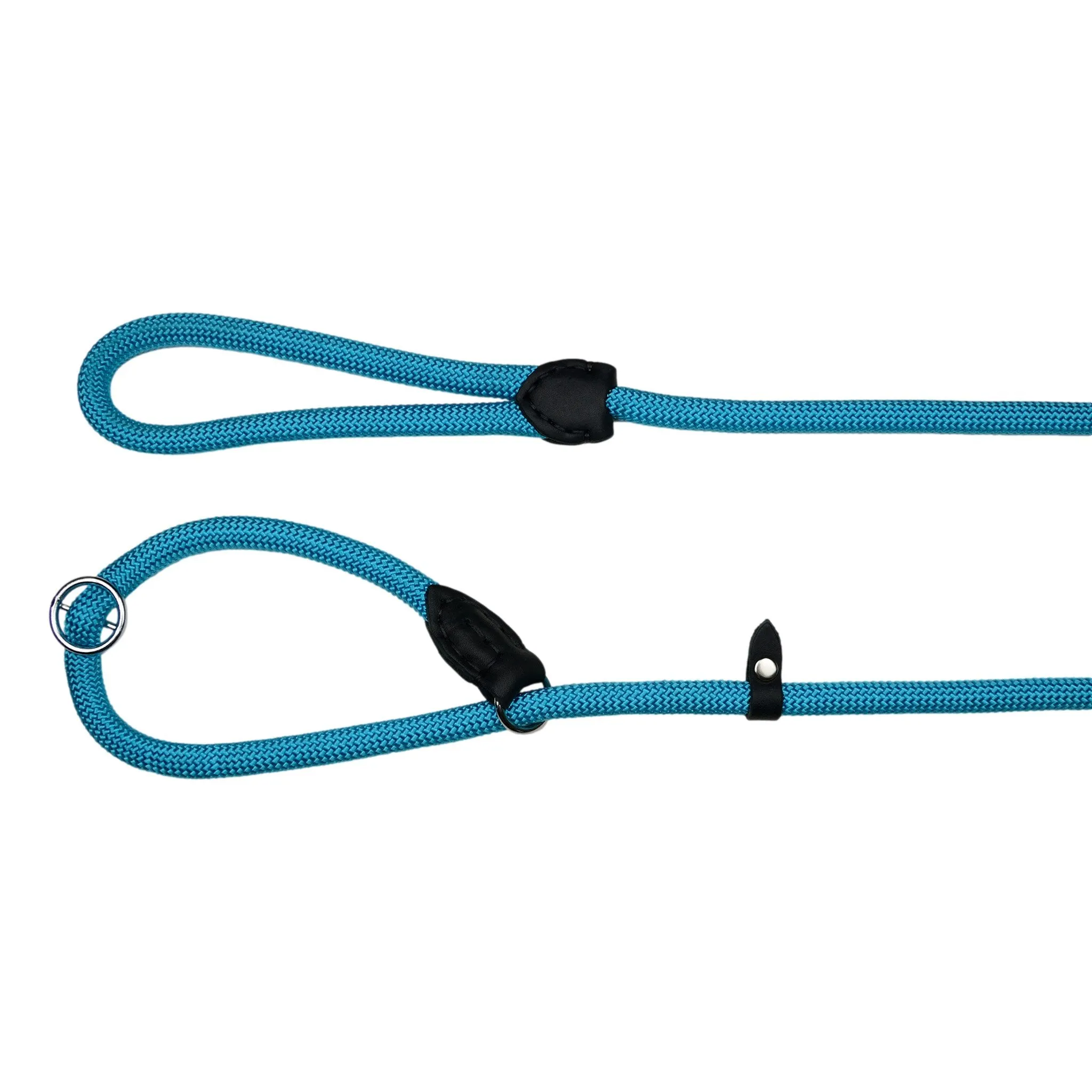 Nylon Slip Leash